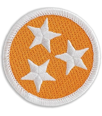 Parche Bordado De La Bandera Del Estado De Tennessee
