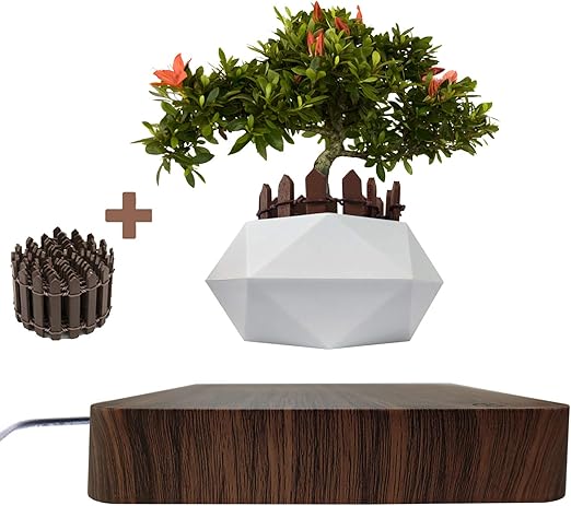Amazon Com Levitating Air Bonsai Pot Rotation Flower Pot Planters Magnetic Levitation Suspension Floating Pot Potted Plant Home Desk Decor In Flower Pots Planters From Home Garden On Dark Wood