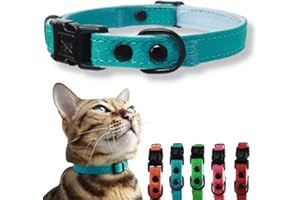 Quick Release Breakaway Cat Collar with Soft Padding by OutdoorBengal, Tactical Fabric Exterior, Natural and Neon Color Options (Caribbean Blue, Kitten)