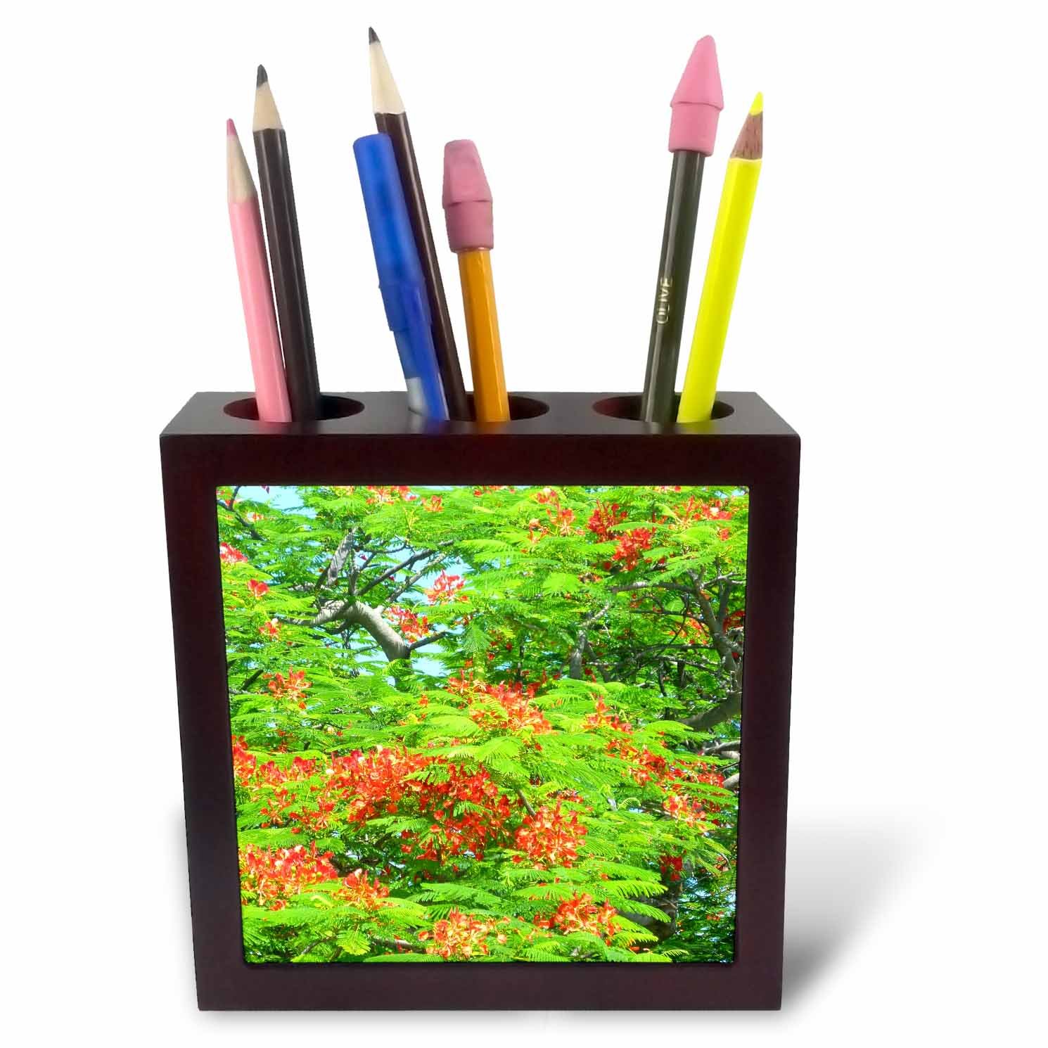 3dRose Poinciana Tree-Tile Pen Holder, 5-Inch (Ph_12781_1)