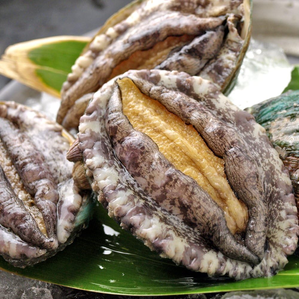 エゾアワビ Sサイズ 3枚 あわび 鮑 バーベキュー q 網焼き お刺身 ステーキ 貝類 貝 海産物 海鮮 黒潮キッチン 鮮魚 通販 Amazon