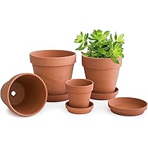 Amazon.com: D'vine Dev Set of 4 Small Clay Planters, 3 Inch