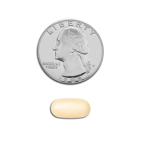 GOODSENSE DUAL ACTION ACETAMINOPHEN AND IBUPROFEN (NSAID) TABLETS, 250 MG/125 MG, BACK PAIN, 18 COUNT