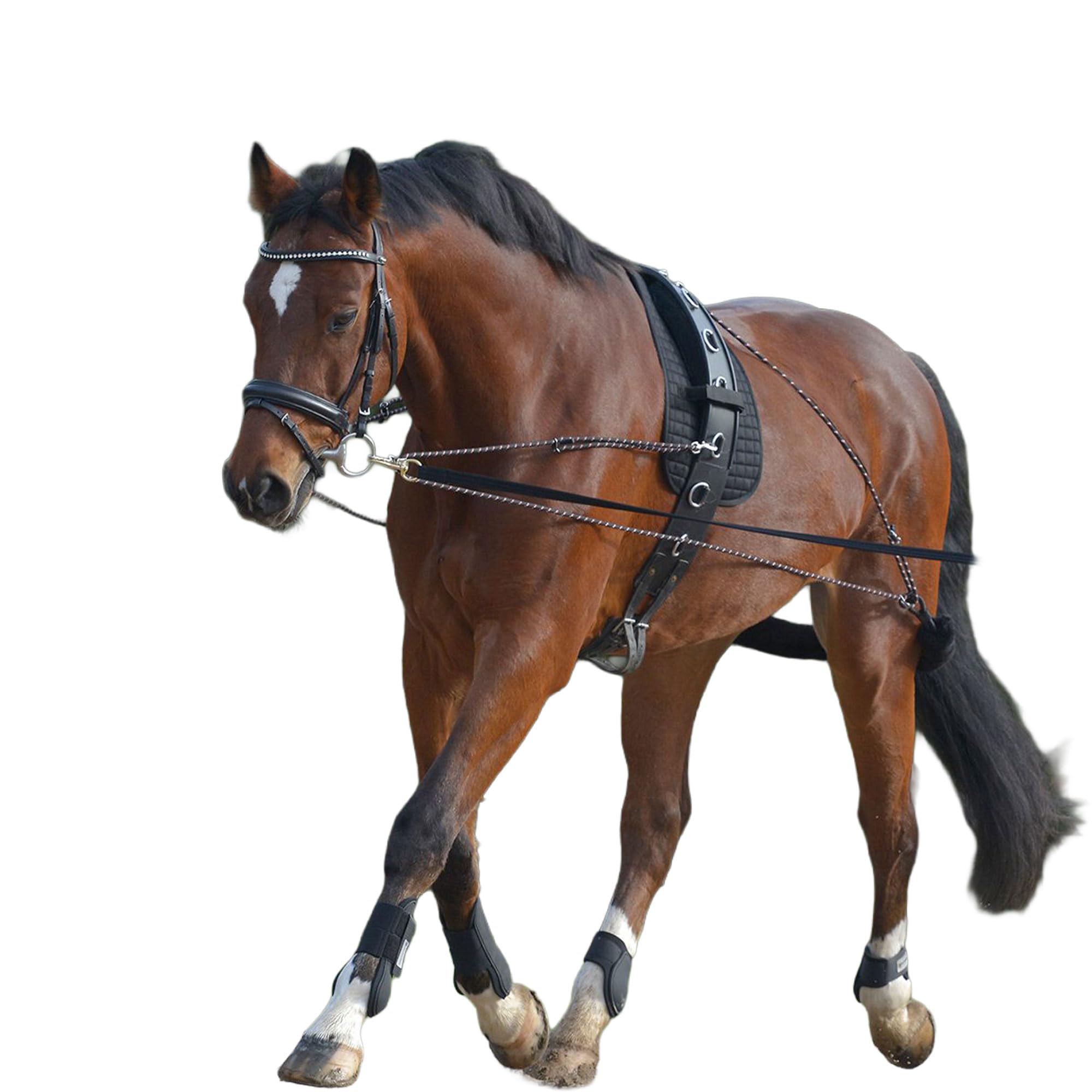 WALDHAUSEN Longiersystem, schwarz, Pony/VB, schwarz, Pony/VB