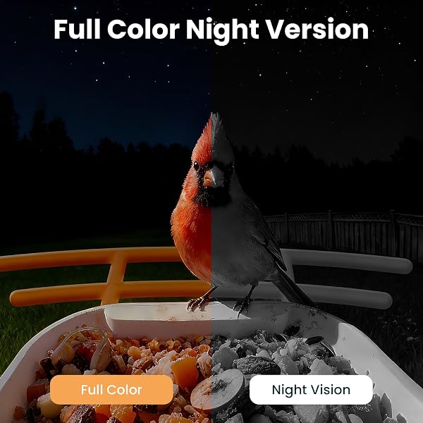 SOLIOM BF09 BIRD FEEDER WITH CAMERA WIRELESS OUTDOOR,SMART FEEDER CAMERA WITH AI IDENTIFY SPECIES,BACKYARD WATCHING GIFT,AUTO RECORD BIRD VIDEO,INSTANT NOTIFICATIONS, US