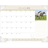 AT-A-GLANCE Monthly Desk Pad Calendar, January 2018 December 2018 22 X 17 Panoramic Floral 89805