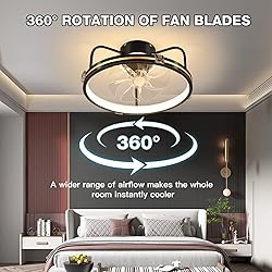 ZOGOOR 19.6'' Ceiling Fans with Lights