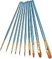 Heartybay 10Pieces Round Pointed Tip Nylon Hair Brush Set, Blue