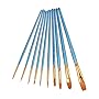 Heartybay 10Pieces Round Pointed Tip Nylon Hair Brush Set, Blue