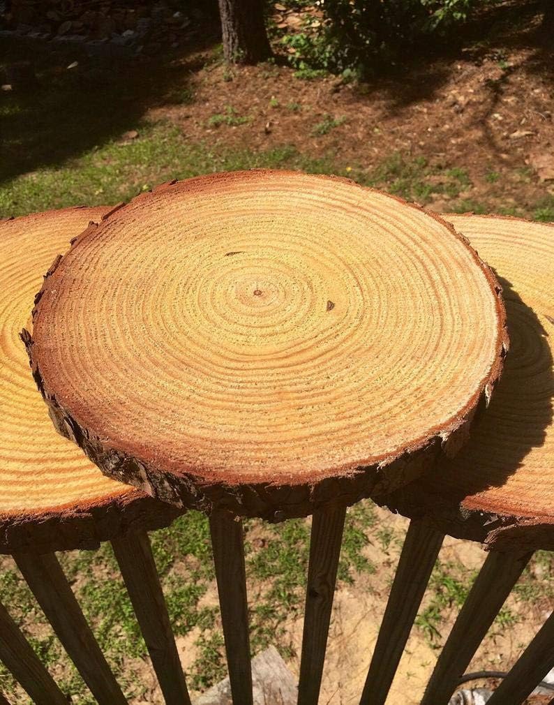 Amazon Com Fully Dry Wood Slices Large Rustic Wood Wedding Centerpieces Wedding Decor Slices Table Decor 14 Arts Crafts Sewing