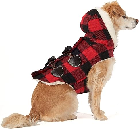 Friends forever dog apparel Clearance