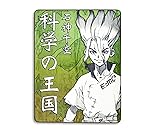 Dr. Stone Senku Ishigami Plush Fleece Throw Blanket