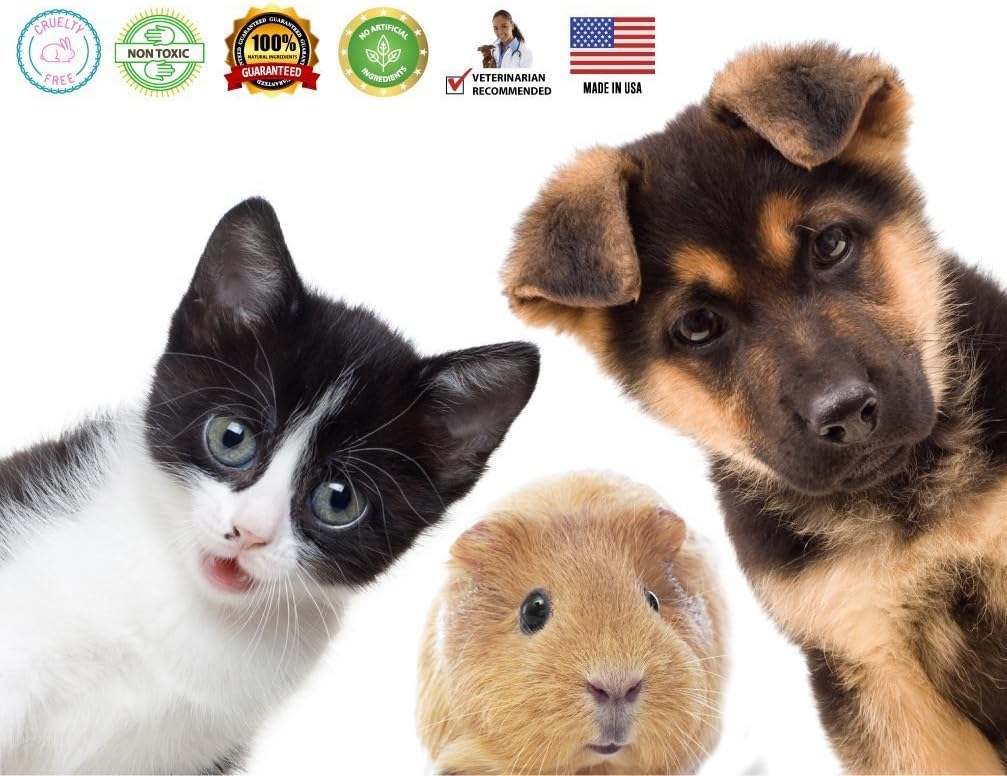 odie and cody pet shampoo