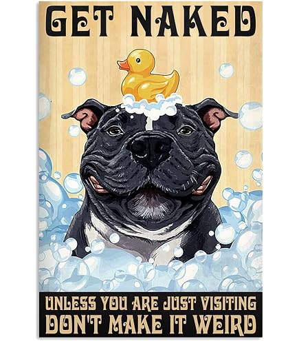 GOLRISEN Targa in Metallo Vintage con Gatto Nero 20x30cm Are You Pooping? - Decorazione da Parete Divertente per Bagno