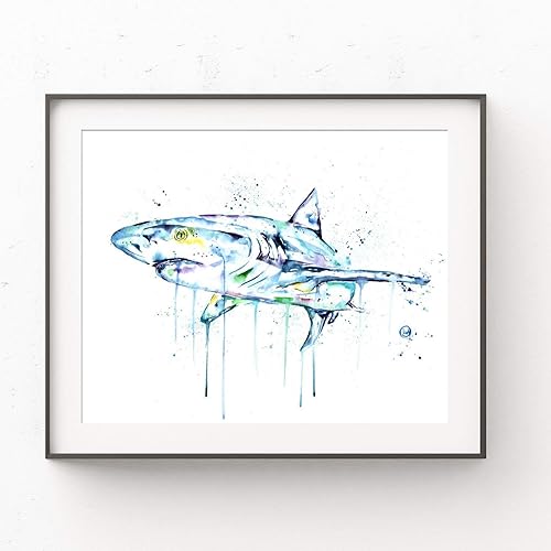 Amazon Com Shark Wall Art By Whitehouse Art Shark Bathroom