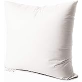 EDOW Luxury Throw Pillow Insert, Soft Fluffy Down Alternative Polyester Square Form Decorative Pillow Insert,Sham Stuffer,Cotton Cover for Sofa, Couch,Bed and Car. (White, 28x28)