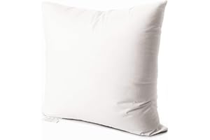 EDOW Luxury Throw Pillow Insert, Soft Fluffy Down Alternative Polyester Square Form Decorative Pillow Insert,Sham Stuffer,Cotton Cover for Sofa, Couch,Bed and Car. (White, 24x24)