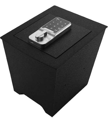 Amazon.com: Center Console Gun Safe Vault - WASAI Vehicle Safe