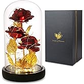 Beauty and The Beast Rose,Preserved Flowers Bouquets Gifts,Light Up Rose Flower in Glass Dome,Birthday Gifts for Women,Mom,Girlfriend Wife Anniversary,Valentines,Thanksgiving,Christmas,Wedding