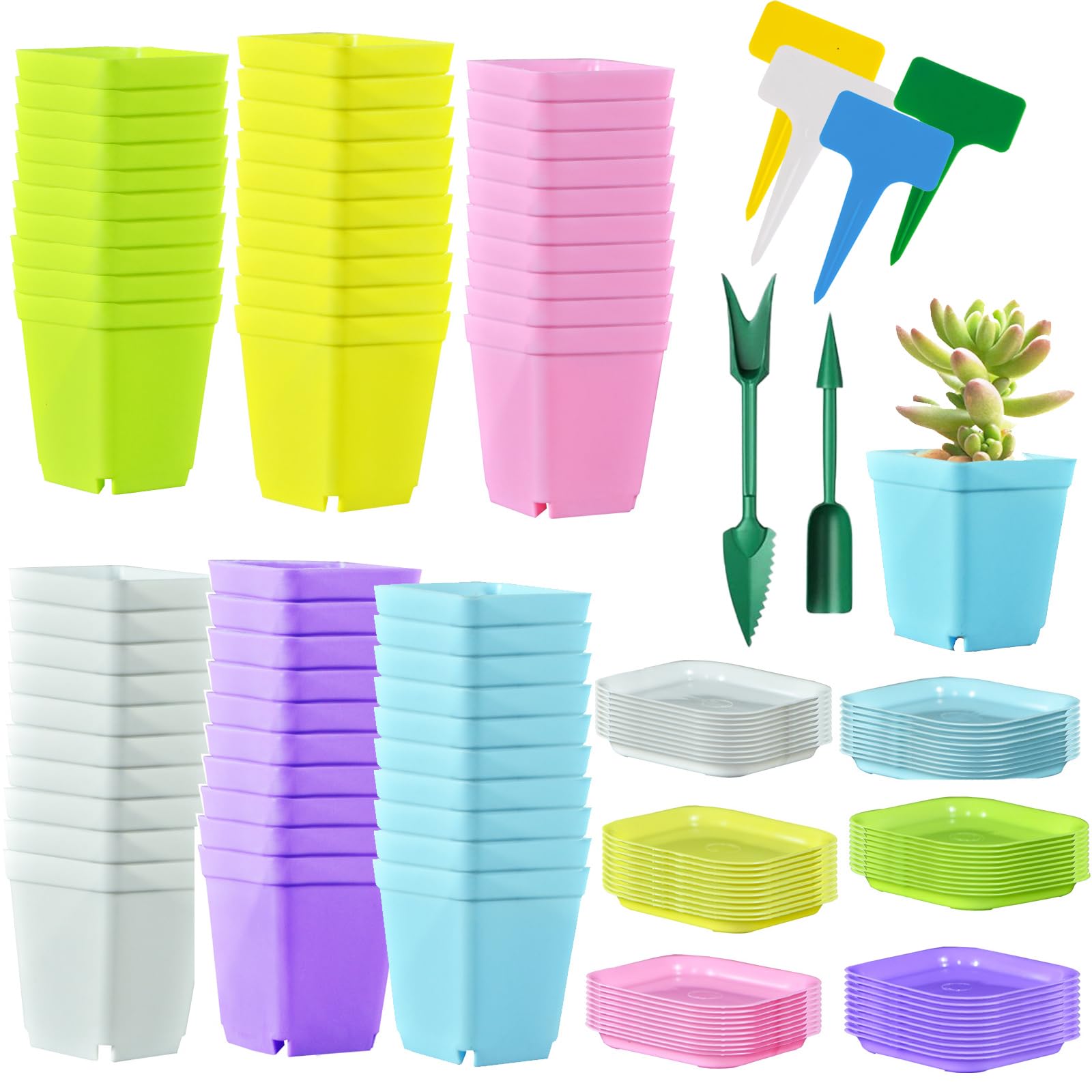 URCHUZE 60Pcs Square Plant Pots, 7cm Thicken Plastic Flower Pots Succulent Planter Nursery Pots with Pallet,Plastic Colorful Flower Pot for Garden Office and Balcony Decor, Multi-Color
