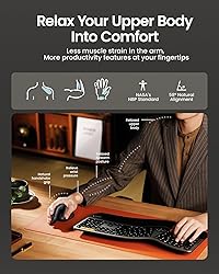 ProtoArc Ergonomic Mouse, EM11 NL Bluetooth