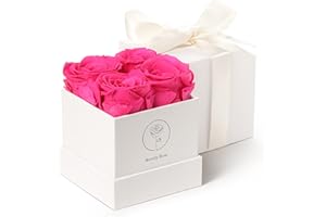 BEVERLY ROSE Forever Roses That Last A Year, Preserved Roses For Delivery Prime, Eternity Roses In A Box, Real Flowers In A box, Flowers For Delivery Prime Birthday, Valentines Day, Anniversary, 4 Pcs Pink…