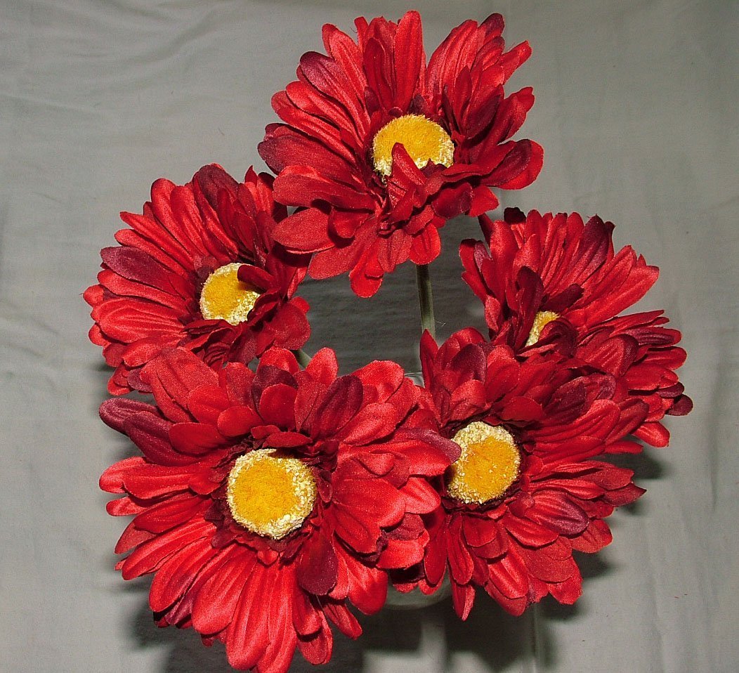 Artificial Single Stem Gerbera with Big Bloom - very dramatic - home garden (12 Pack, Red)