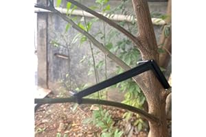 CUNGUV 50Pieces Fruit Tree Branch Limb Spreader for Strong Spreading Crotch Angles Branches,Plastic Bonsai Branch Trunk Spreaders Modelling Tool Black