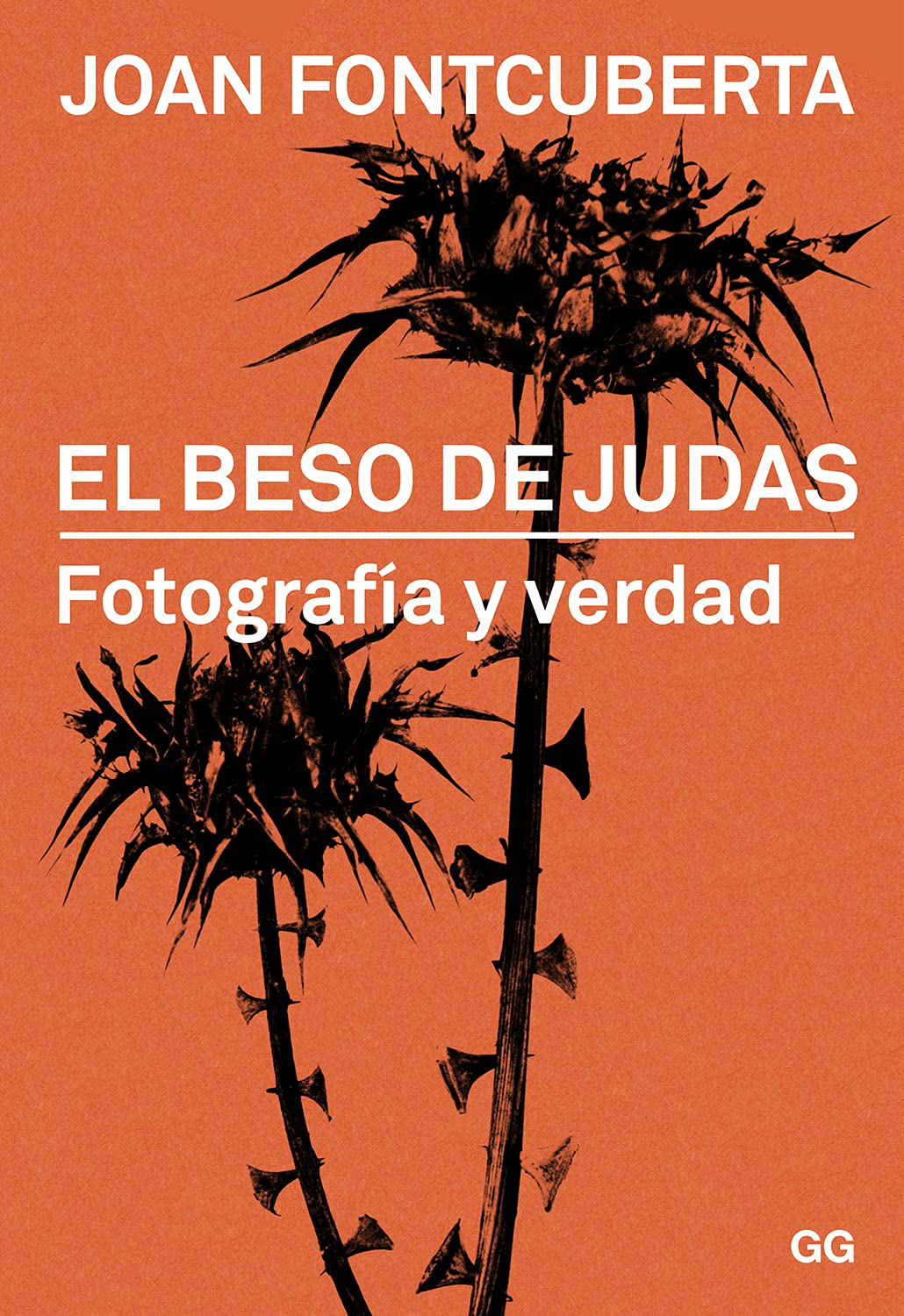 El Beso De Judas Fotografia Y Verdad Fontcuberta Joan Amazon Com Mx Libros