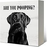 LUKIPOM Funny Black Labrador Retriever Bathroom Wooden Box Sign, Are You Pooping Sign, Black Lab Gifts Wood Signs for Bathroom Restroom Toilet Half Bath Shelf Counter Decor, 5x5 Inch