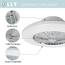 DLLT Ceiling Fan with Led Lights, 20'' Modern