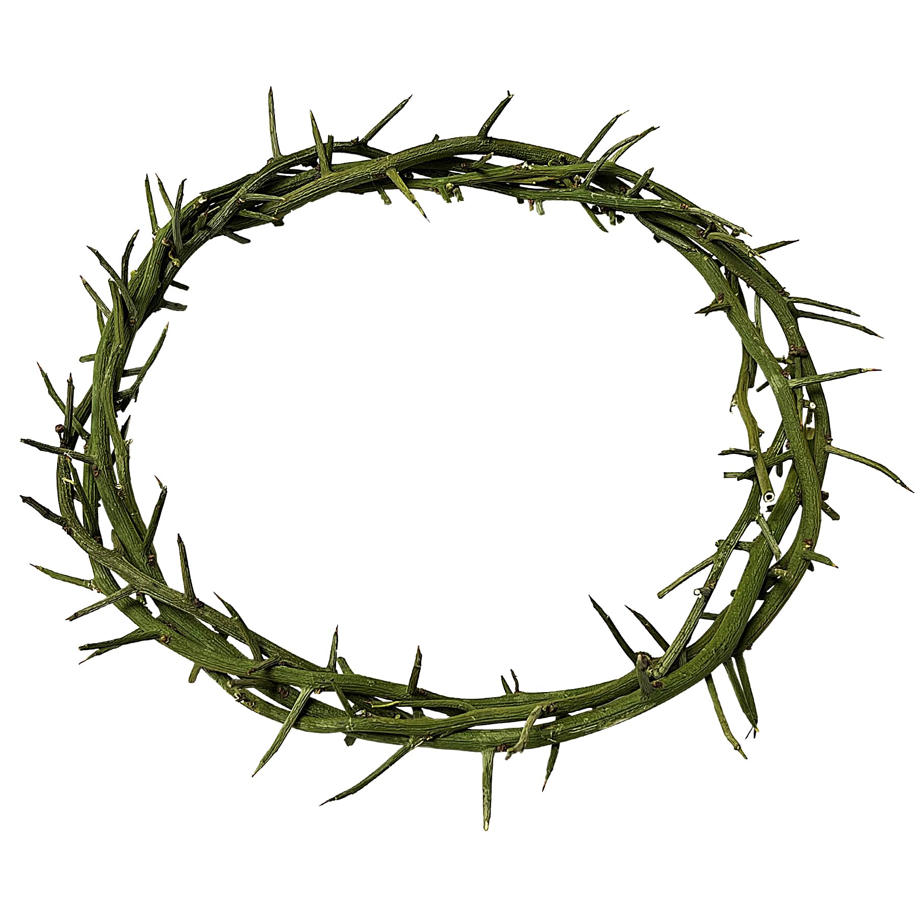 Photo 1 of Jesus Crown of Thorns Headpiece-Crown of Thorns Ring, 7.5-8" Crown of Thorns Plant,Handmade Wearable Crown Decor for Christian Easter, Church Events, and Christmas Tree Topper