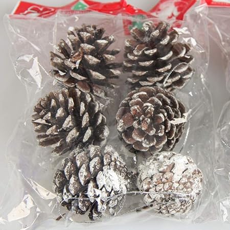 Decorazioni Natalizie Naturali.Liuqian Decorazioni Natalizie Pigne Dell Albero Di Natale Decorazioni Pinoli Naturali Pigne Piccole Amazon It Casa E Cucina
