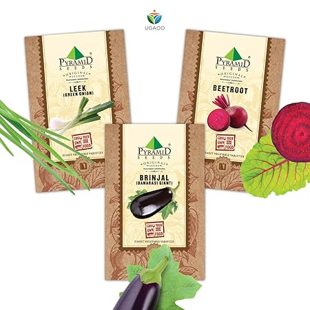 Pyramid Seeds Vegetable Seeds Combo Of Beetroot, Green Onion (Leek), Brinjal Banarshi Giant