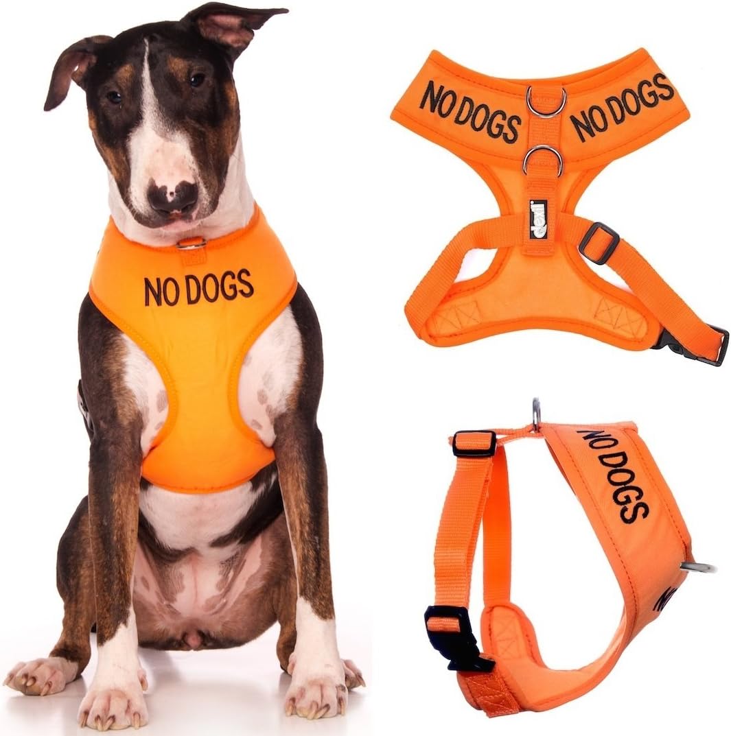Dexil NO DOGS (Not good with other dogs) Orange Colour Coded Non-Pull Front and Back D Ring Padded and Waterproof Vest Dog Harness PREVENTS Accidents By Warning Others Of Your Dog In Advance (L)