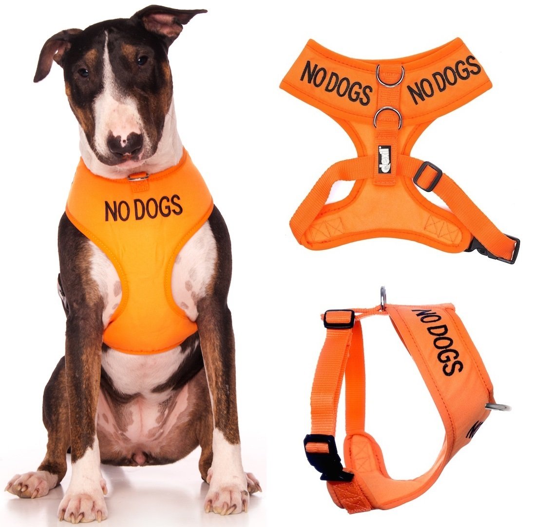 Dexil NO DOGS (Not good with other dogs) Orange Colour Coded Non-Pull Front and Back D Ring Padded and Waterproof Vest Dog Harness PREVENTS Accidents By Warning Others Of Your Dog In Advance (L)