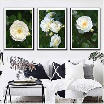 Amazon.com: Canvas Wall Art, Art 3 Piece Elegant Flowers Stretched and