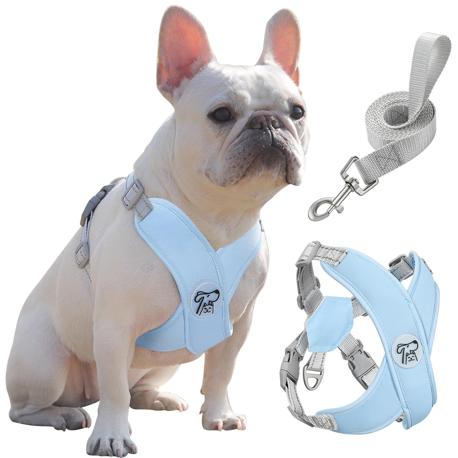 Pawaboo Puppy Harness and Lead Sets, Small Dog Harness X-Frame No Pull No Choke, Dog Vest Harness Adjustable for Small Medium Sized Dogs, Soft Breathable Pet Harness Walking Outing Outing (L, Blue)