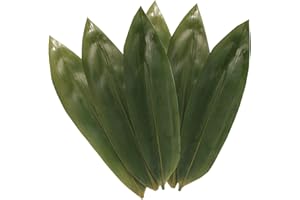 BambooMN Bamboo Leaves - Vacuum Packed - 12.25 x 3.5 Inches - 1000 pack - Natural Boiling Bags, Steam Zongzi