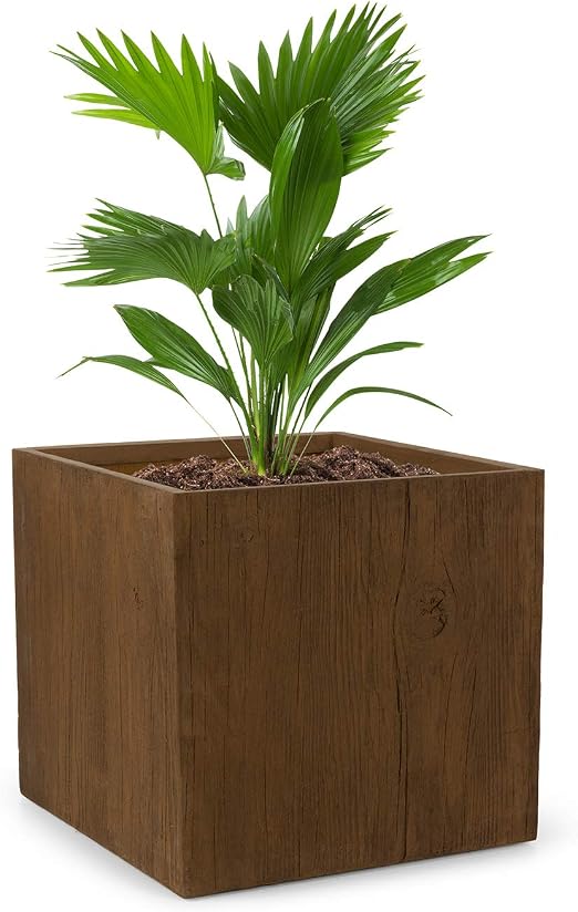 blumfeldt Timberflor - Maceta para Plantas, Tiesto, Fácil de ...