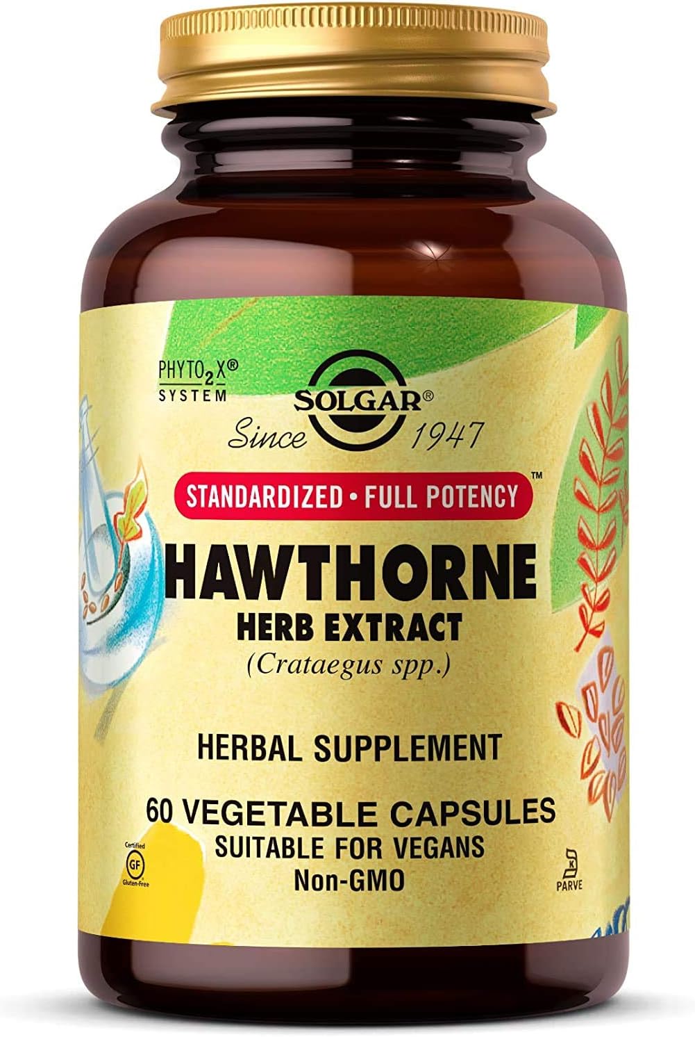 Solgar Standardized Full Potency Hawthorne Berry Herb Extract Vegetable Capsules, 60 Count: Health & Personal Care