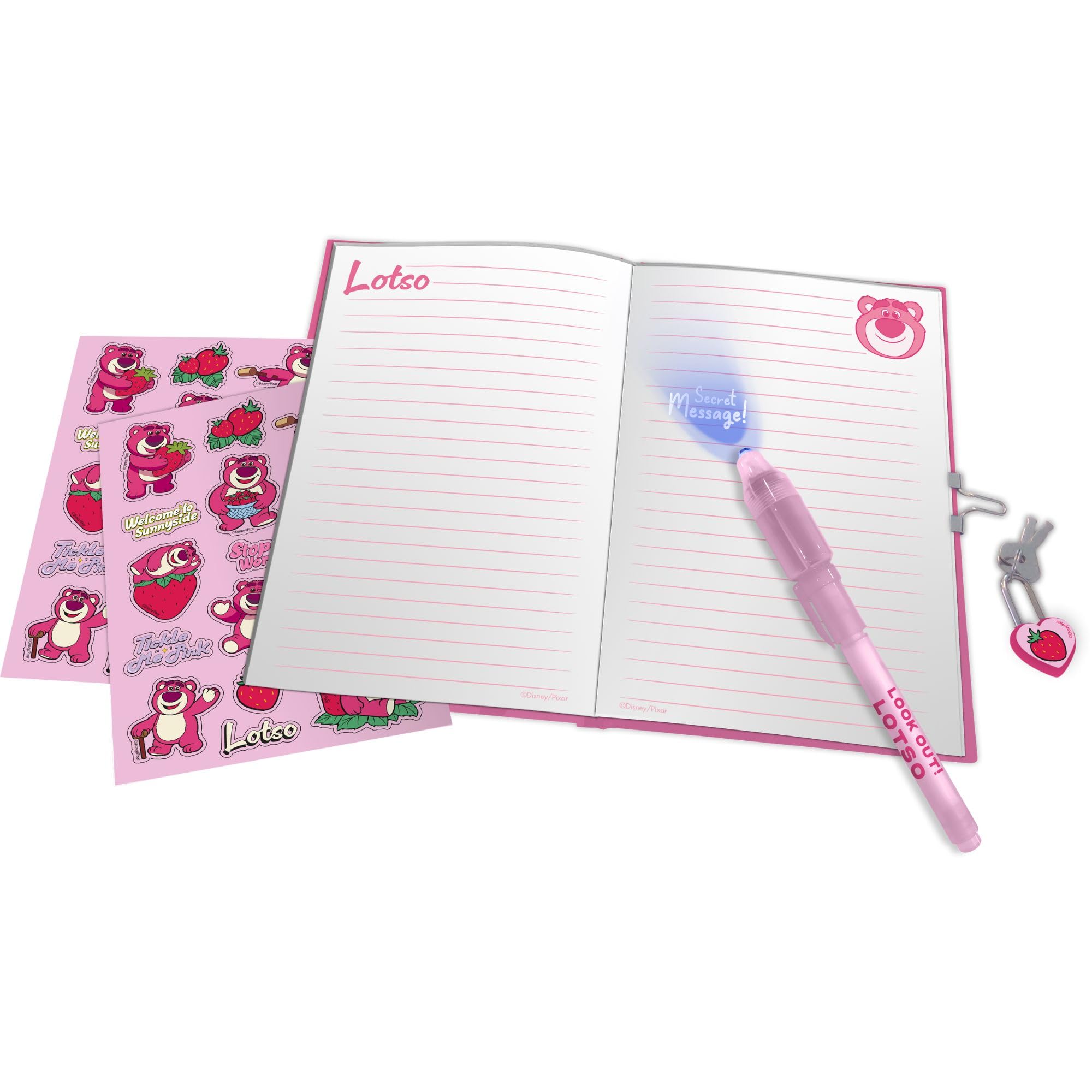 LOTSO SECRET DIARY