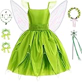 ZALOORIY Fairy Costume for Girls Princess Dress with Wings and Accessories