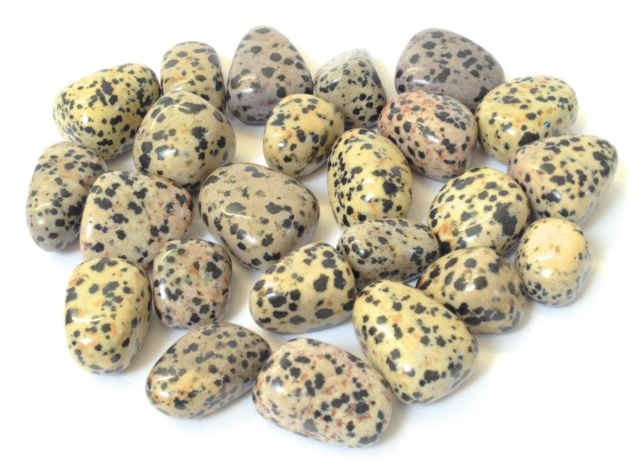 5 x Dalmation Jasper Tumble Stone - Healing Crystal - Relaxation, Tranquillity, Healing, Completion - Crystal Therapy Tumblestone