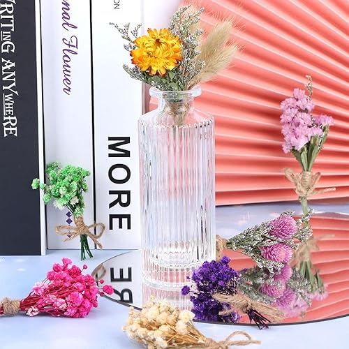 Pcs Mini Gypsophila Bouquets Dried Flower Daisy Bundles Dry Flower&Leaves  Natural Lagurus Dried Embossing Fl