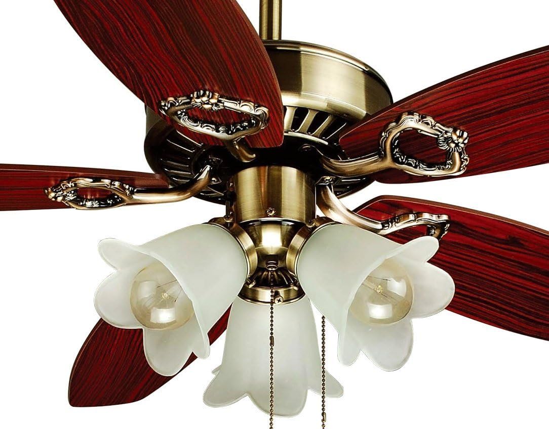 OL-42033-R Amazing 42" Ceiling Fan 3-lights fixture 2-sided blades by Ocean Lamp