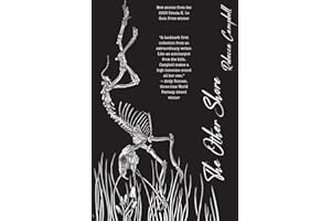 The Other Shore: Stories