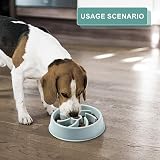 Vinabo Slow Feeder Dog Bowl Anti Choke Anti Bloat Small Medium Large Pets view 5