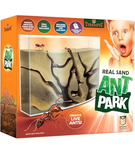 Amazon.com: Science Ant Farm Kit for Live Ants, FunKidz Ant Colony