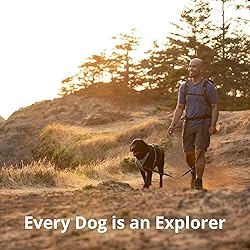 Ruffwear, Front Range Dog Harness, Reflective and
